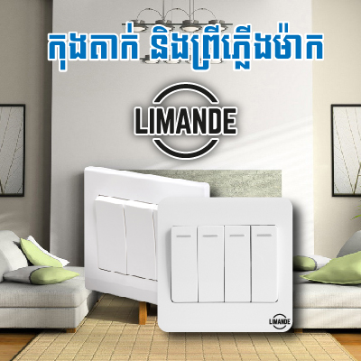 Limande Switch